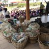 Majlis Perasmian Pembersihan Pantai Anugerah Sekolah Hijau Di Pantai Robina (8)